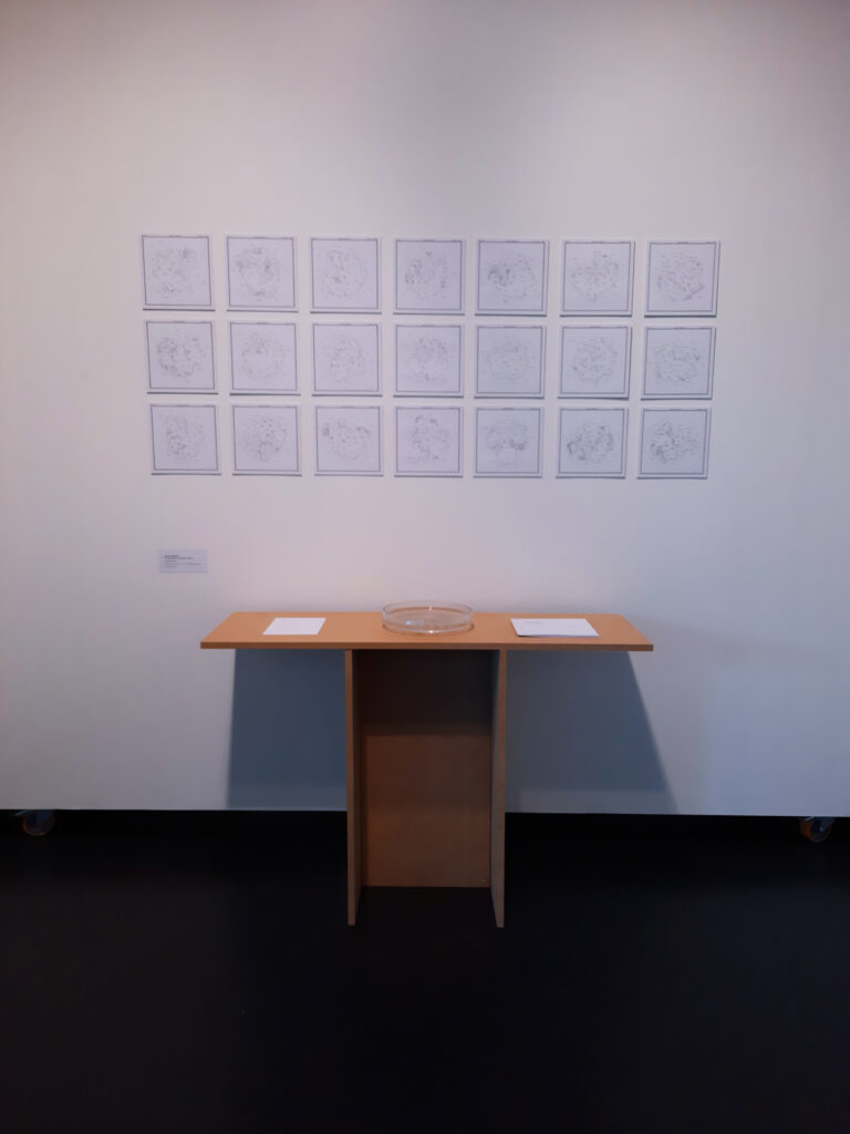 Espaces aléatoires :
à la découverte de nouveaux mondes 20211109 130840 2