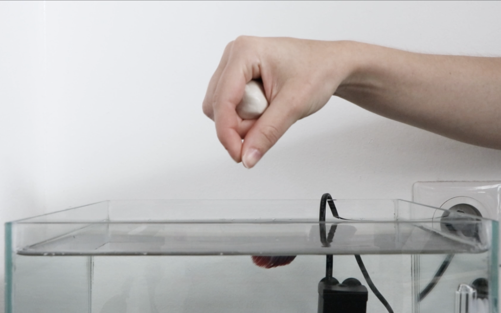 Objets pour... capture d’écran 2025 02 10 à 11.47.38