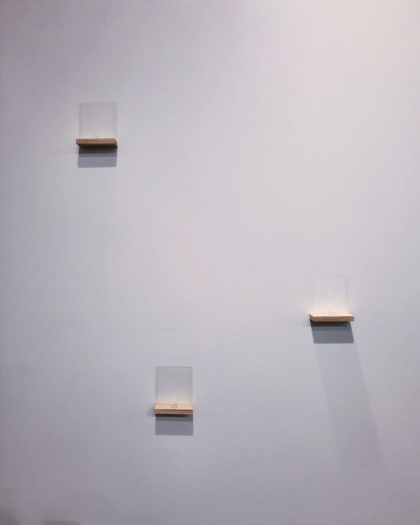 Imperceptible ordinaire img 20211216 113518 580 2