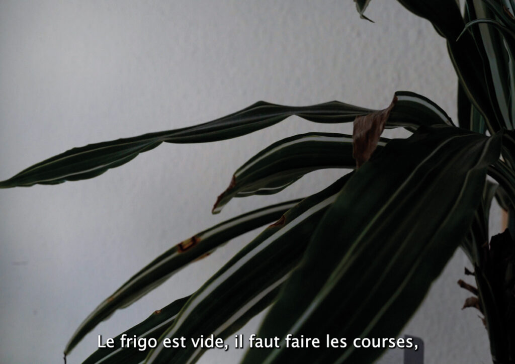 Cartes postales photogramme10