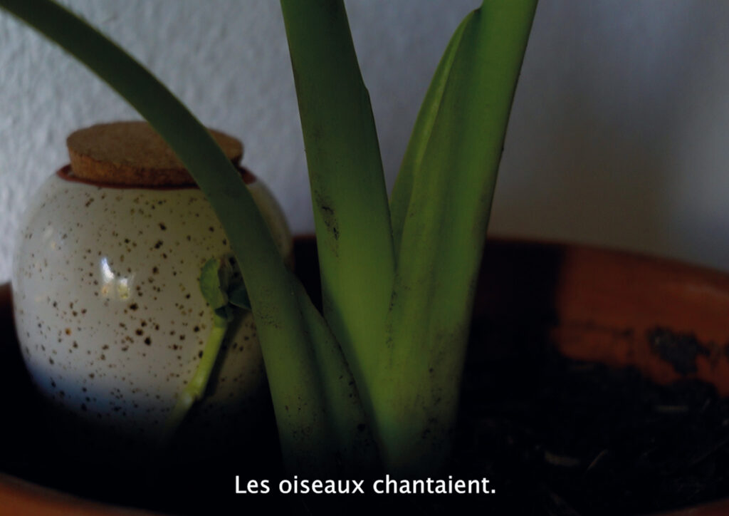 Cartes postales photogramme13