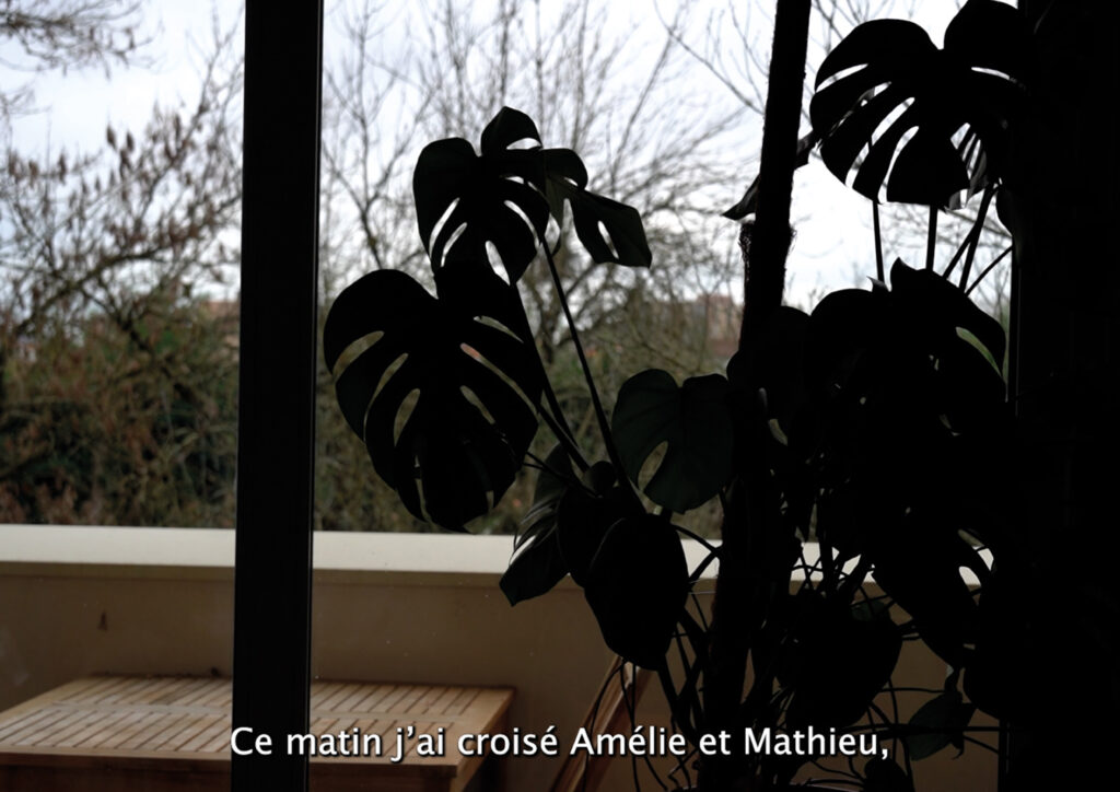 Cartes postales photogramme5